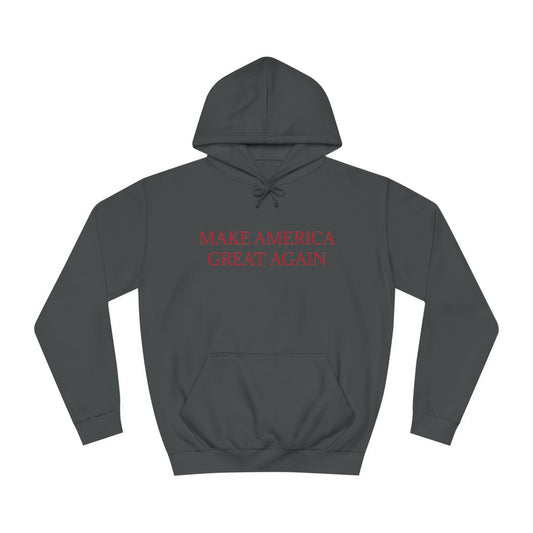 Donald Trump 2024 Election Hoodie